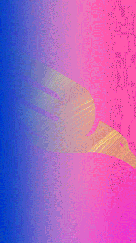 BAMI_WASSTRAAT_OPTIE_2.gif